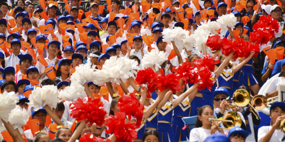 甲子園画像